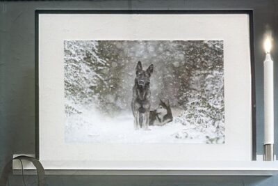 Forever in the Mind by Albert Fitskie