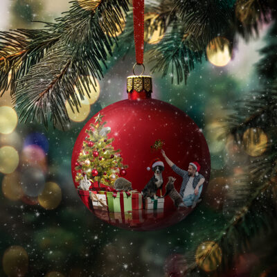 Holiday Memories of Cherished Companions by Marie Farmer