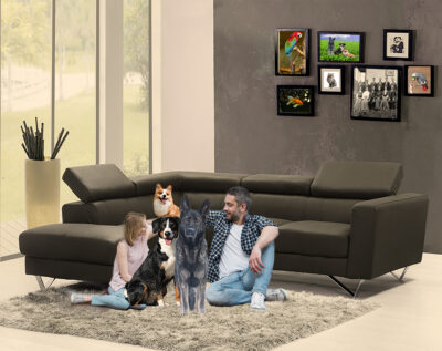 Our Happy Family by Frank Pizzani