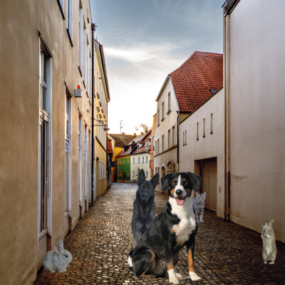 Paradise by Christine Schmidt