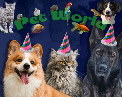 Pets World by Daniel Martin