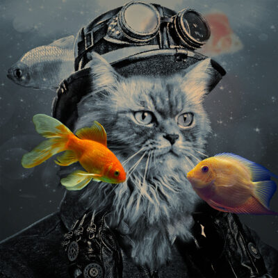 Water Cat by Jack Floegel