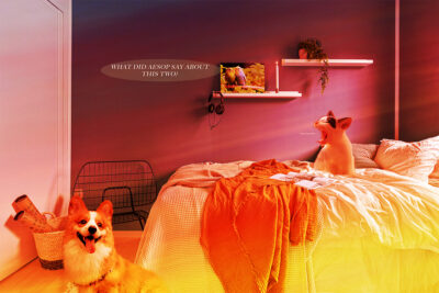 Who Is the King? by Adriana Goldfeld