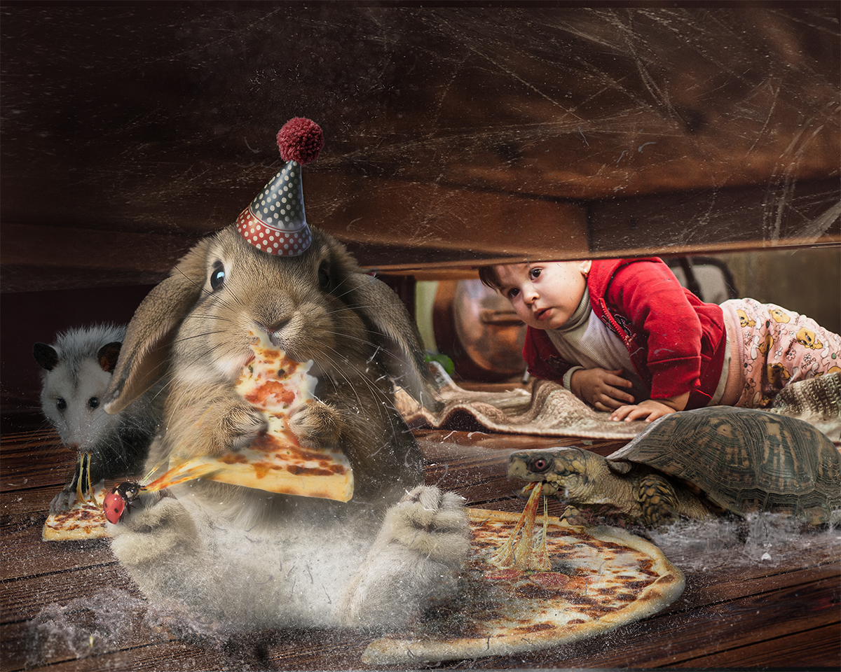 Dust Bunny’s Pizza Party by Carol Kiser