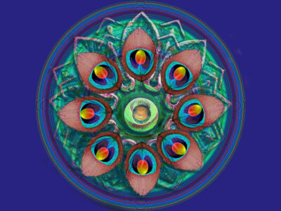 A Splash of Color by Frank Pizzani