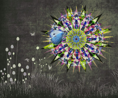 Butterfly Garden by Susan Gravens