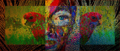 Colorful Flight Fusion by Luana Laubscher