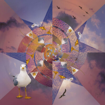 Kaleidogull by Elly Fox