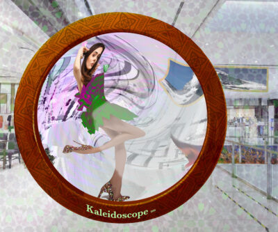 The World Through a Lens by Larry Schiffman