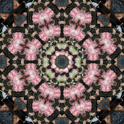 Unexpected Reflections by Nagore Martinez de Lagran