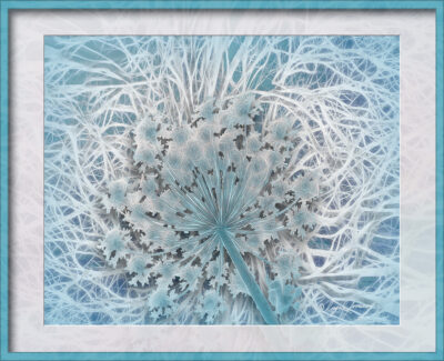 Artful Roots by Ingrid Pomeroy