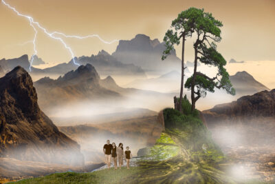 Family Roots by Steve Pulley