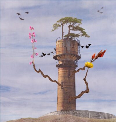 New From Old by Marcy Burgis