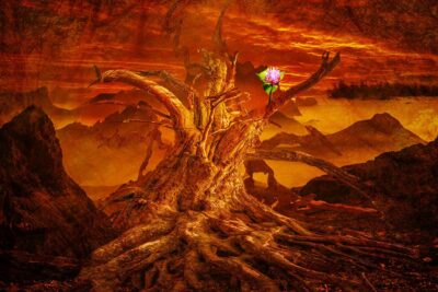 Old Roots – Bright Future by Terry Jane