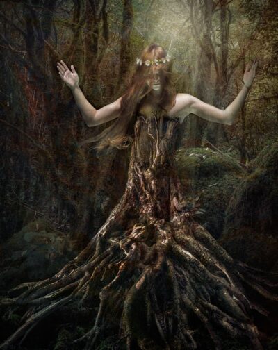 Roots by Cathy Labudak