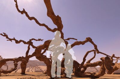 Roots by Kye Thompson