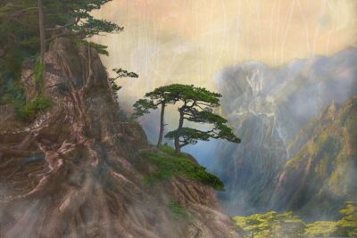 The Ability to Grow by Ferne Martin