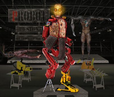 Probot Design Repair and Build by Larry Schiffman