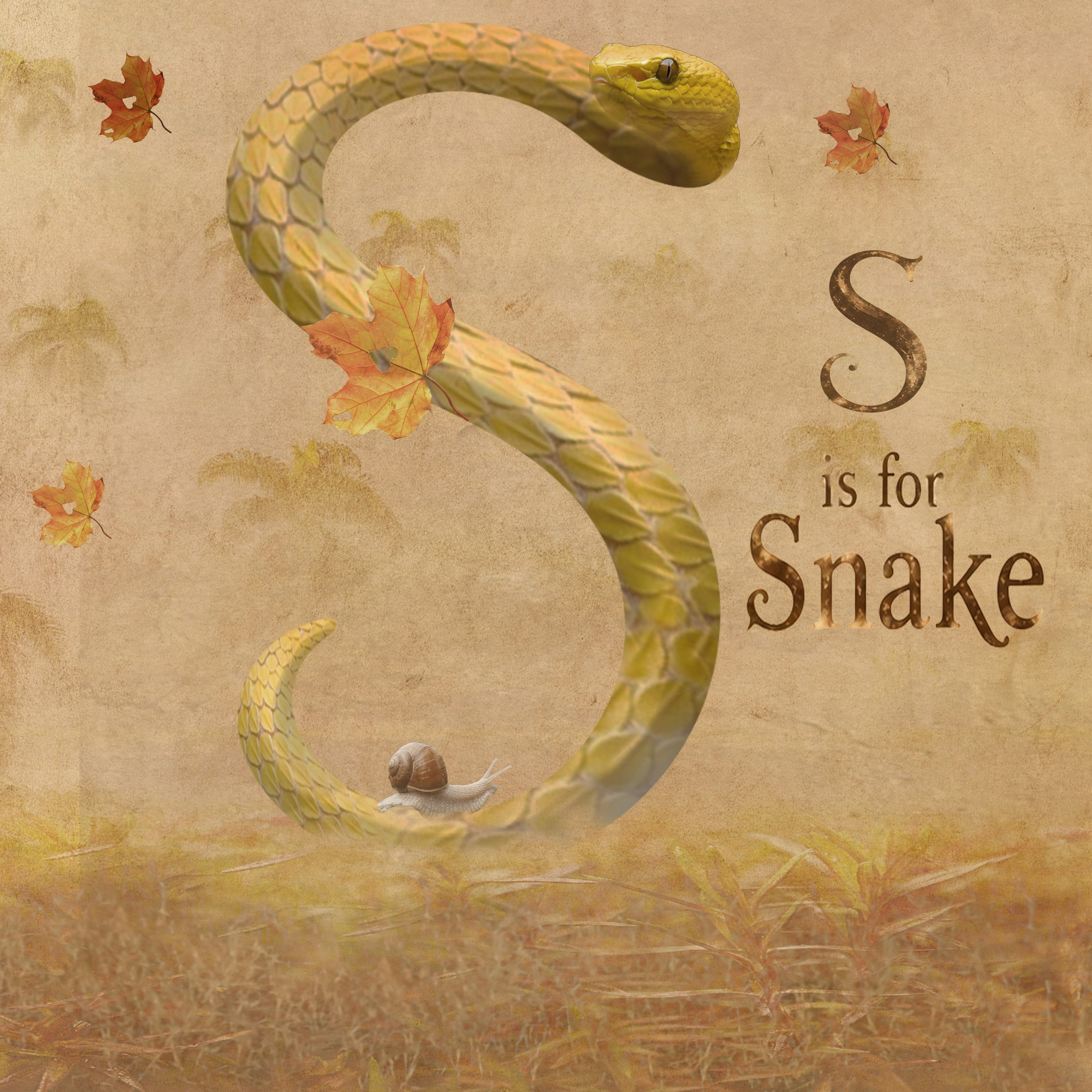 S Is for Snake by Nancie Rowan